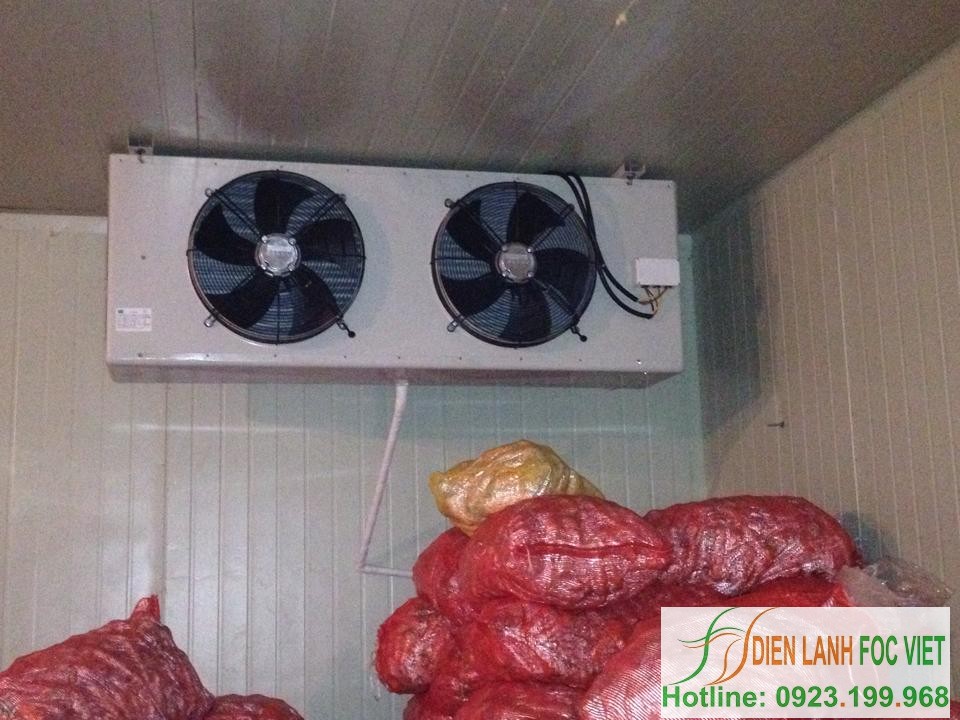 kho-lanh-bao-quan-khoai-tay-giong