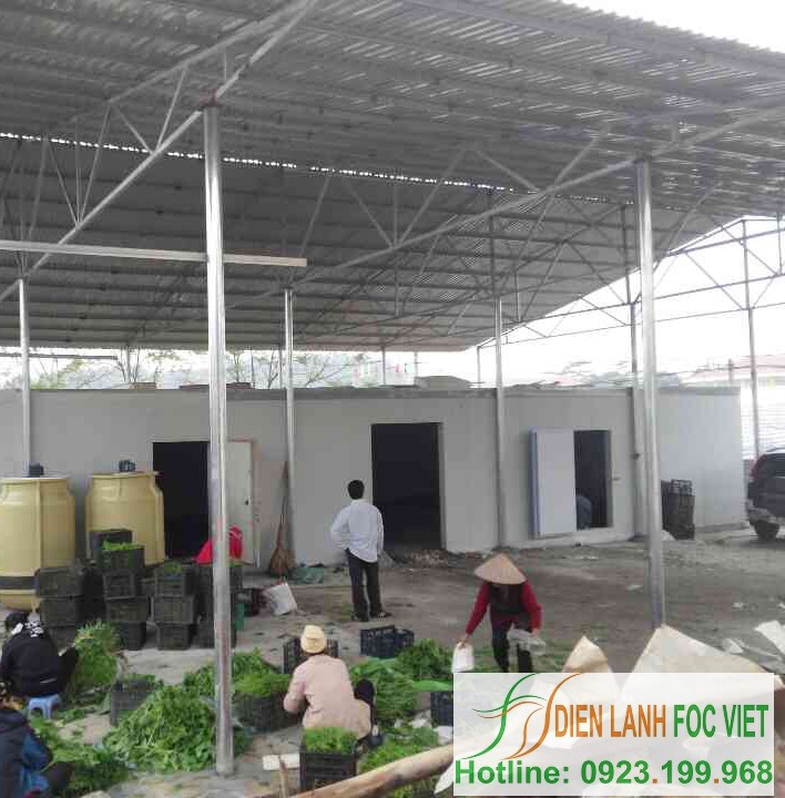 kho-lanh-bao-quan-rau