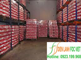 kho-lanh-bao-quan-thuc-pham