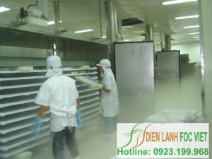 Tiến trình lạnh đông thủy sản | Kho lạnh bảo quản thủy sản