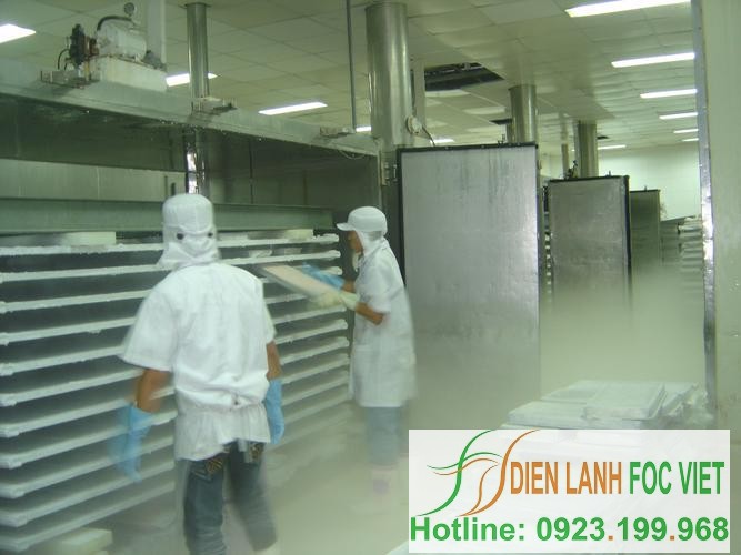 Tiến trình lạnh đông thủy sản | Kho lạnh bảo quản thủy sản