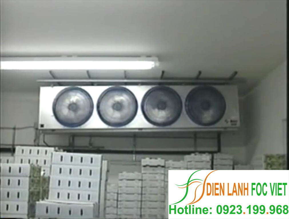 lap-dat-kho-lanh-bao-quan-nong-san