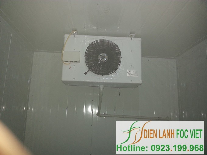 lap-dat-kho-lanh-bao-quan-rau-qua