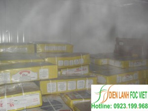 Quy trình bảo quản thịt gà bằng kho lạnh – kho cấp đông Quy trình bảo quản thịt gà bằng kho lạnh – kho cấp đông