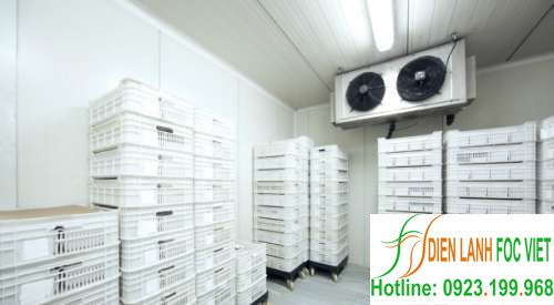 lap-dat-kho-lanh-bao-quan-thuc-pham