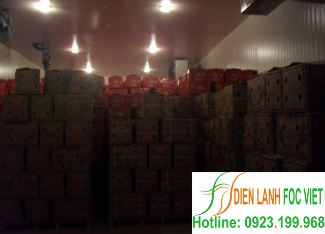 lap-dat-kho-lanh-thuc-pham