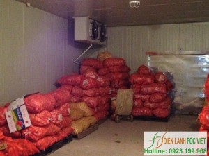 Kho lạnh cà rốt | Lắp đặt kho lạnh bảo quản cà rốt Kho lạnh cà rốt | Lắp đặt kho lạnh bảo quản cà rốt