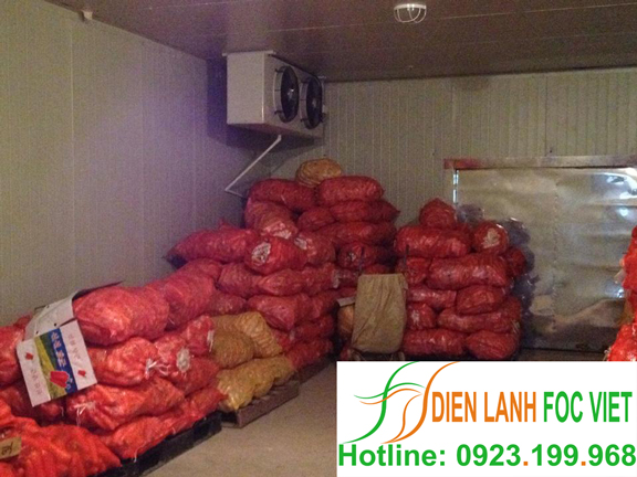 lap-dat-kho-lanh-bao-quan-ca-rot