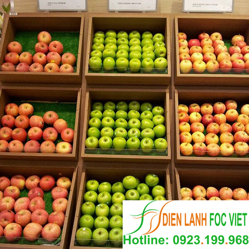 kho-lanh-bao-quan-tao