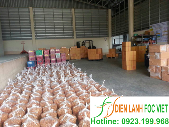 lap-dat-kho-lanh-bao-quan-nhan