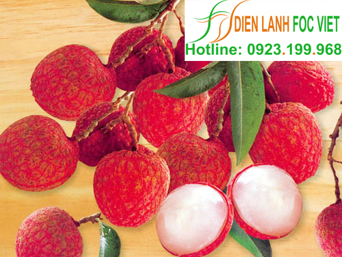 lap-dat-kho-lanh-bao-quan-vai