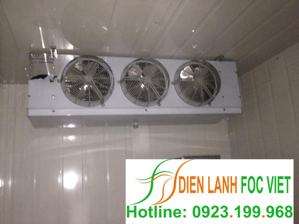 kho-lanh-bao-quan-socola