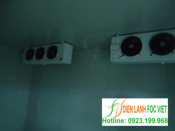 lap-dat-kho-lanh-bao-quan-socola