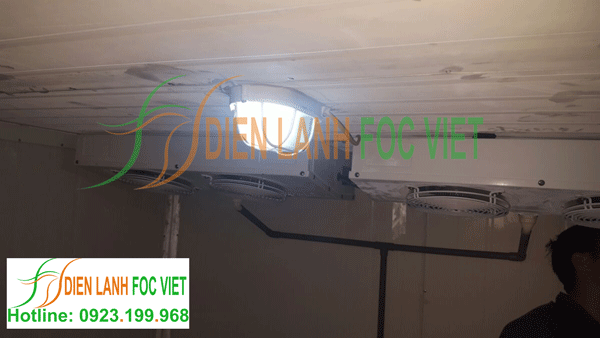 lắp đặt kho lạnh bảo quản vacxin